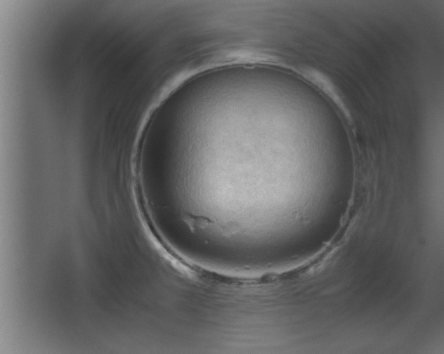 X0000067831381200604201204