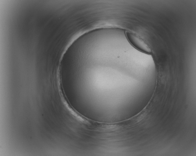 X0000067831382200604201204