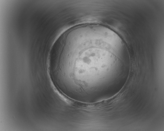 X0000067831383200604201204