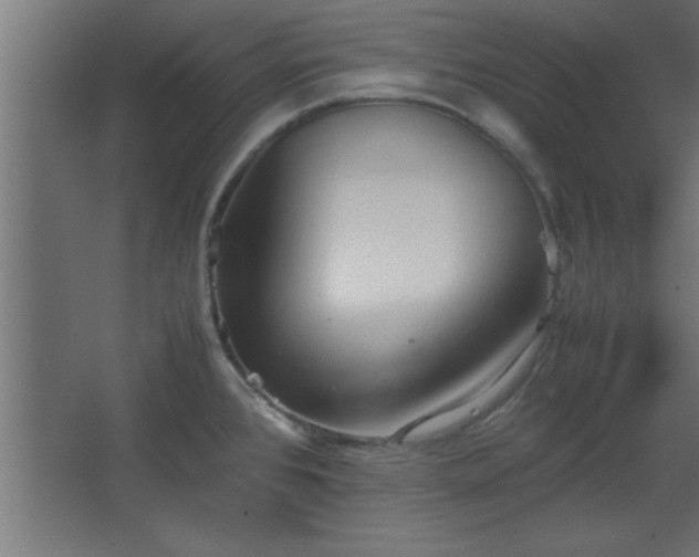 X0000067831384200604201204