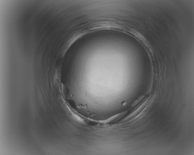 X0000067831385200604201204