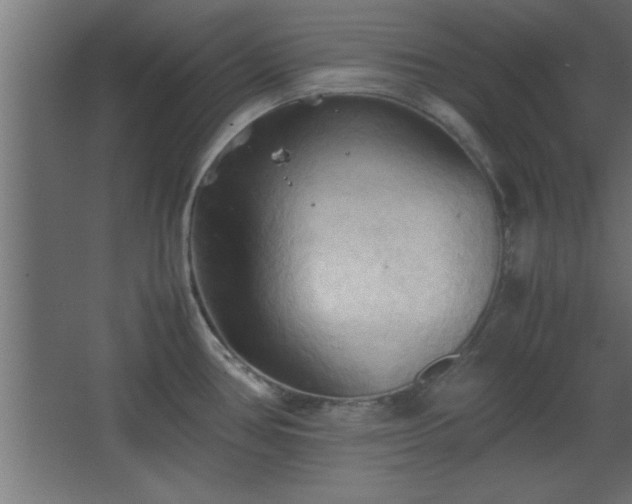 X0000067831386200604201204