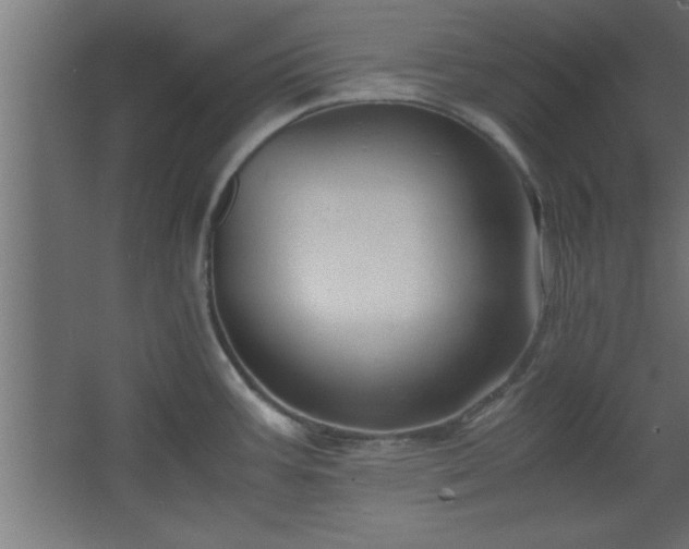 X0000067831387200604201204