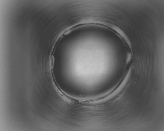 X0000067831388200604201204