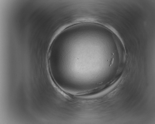 X0000067831389200604201204