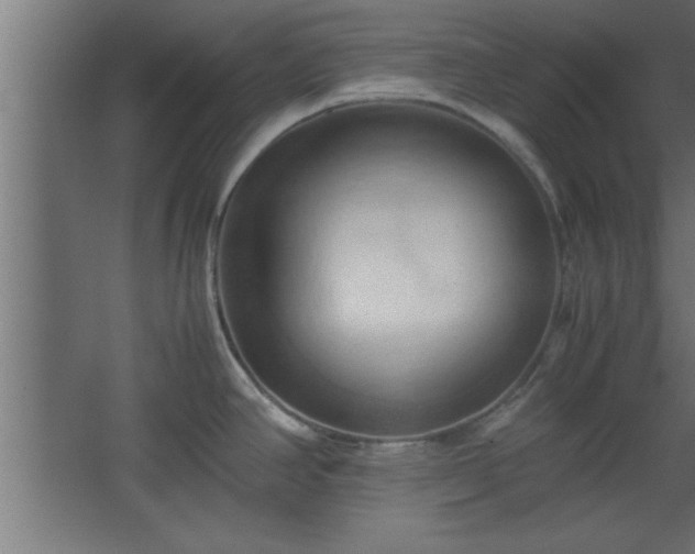 X0000067831390200604201204