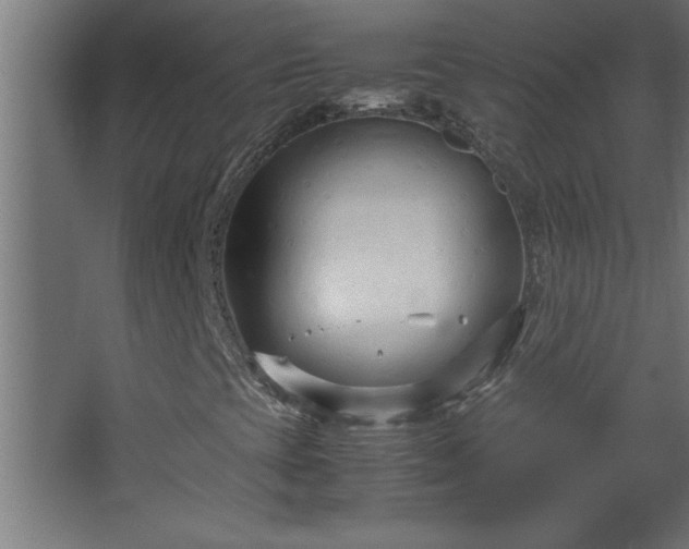 X0000067831393200604201203