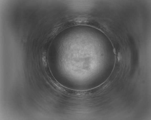 X0000067831396200604201203