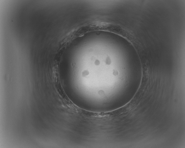 X0000067831397200604201203