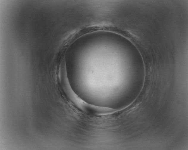 X0000067831398200604201203