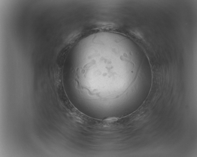 X0000067831399200604201203