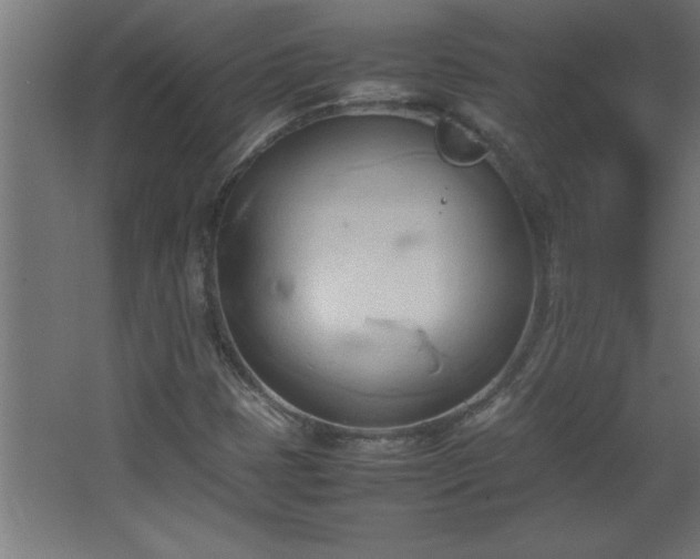 X0000067831401200604201203