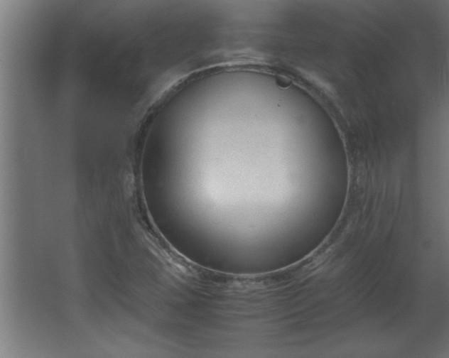 X0000067831407200604201203