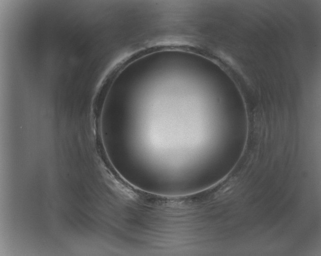 X0000067831408200604201203