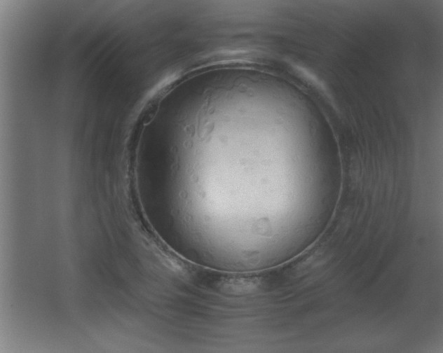 X0000067831411200604201203