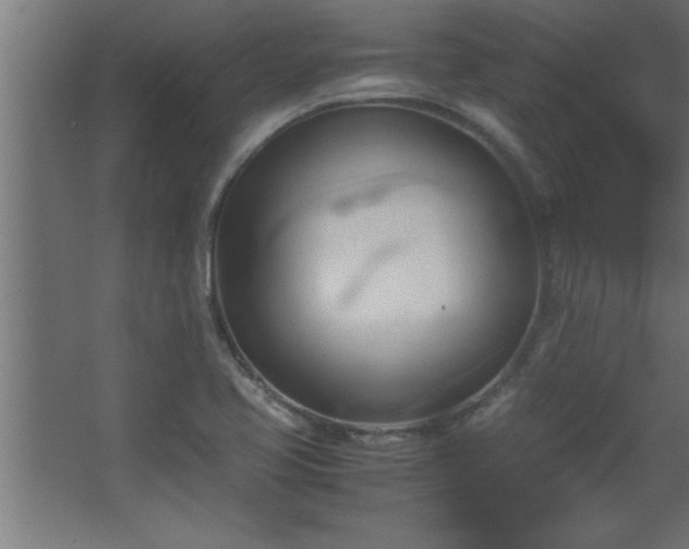 X0000067831413200604201203