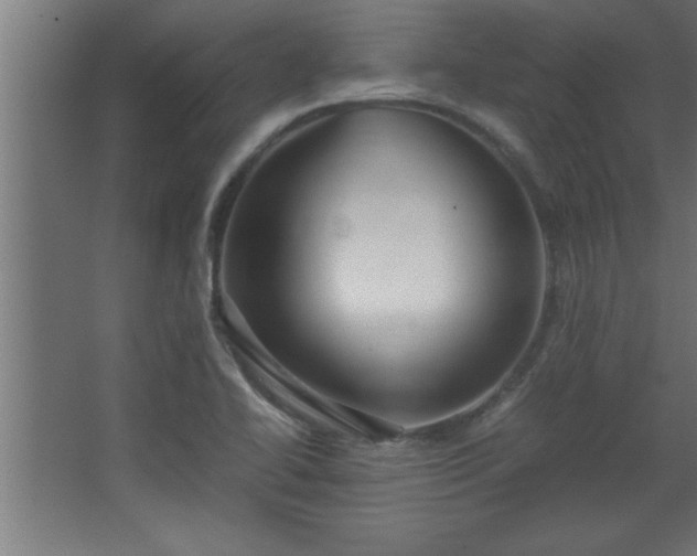 X0000067831414200604201203