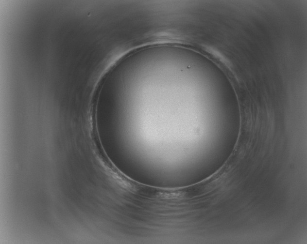 X0000067831415200604201203