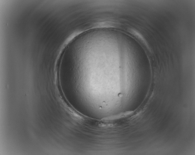 X0000067831419200604201203