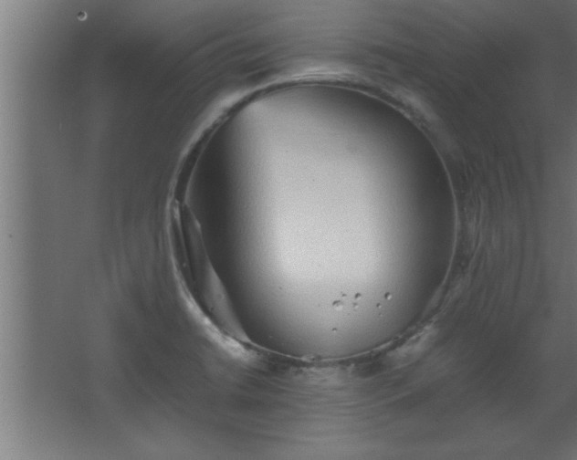 X0000067831422200604201204