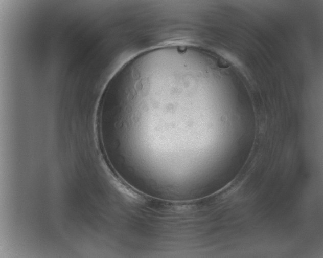 X0000067831423200604201204