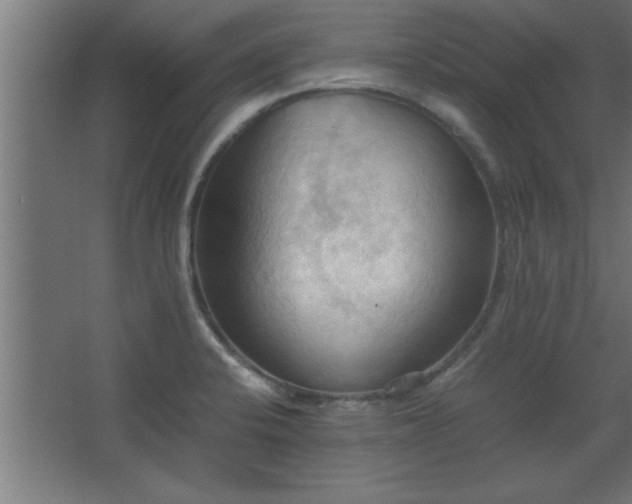 X0000067831424200604201204