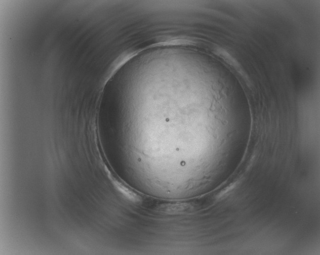 X0000067831425200604201204