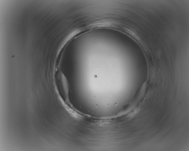 X0000067831426200604201204