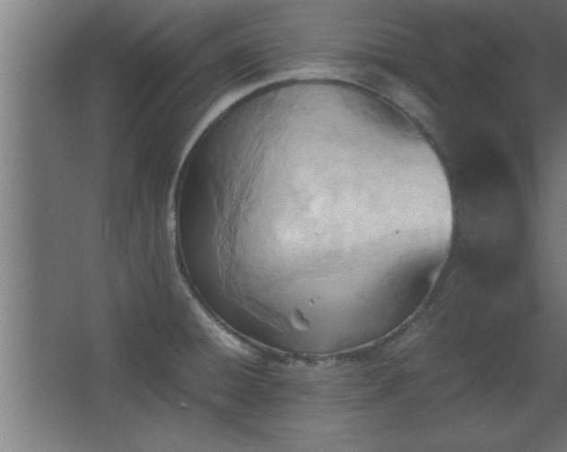 X0000067831428200604201204