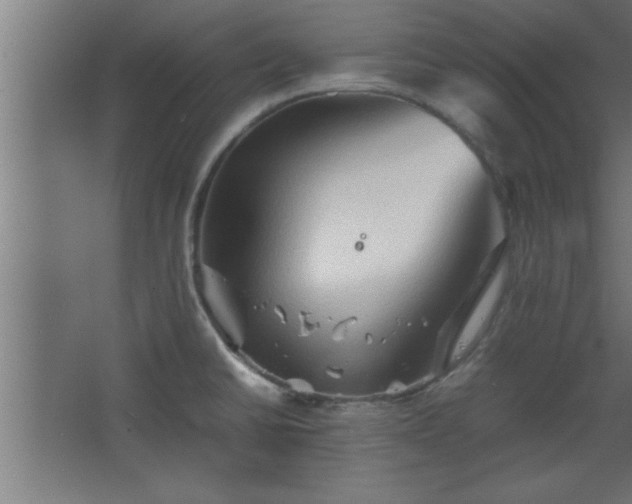 X0000067831430200604201204