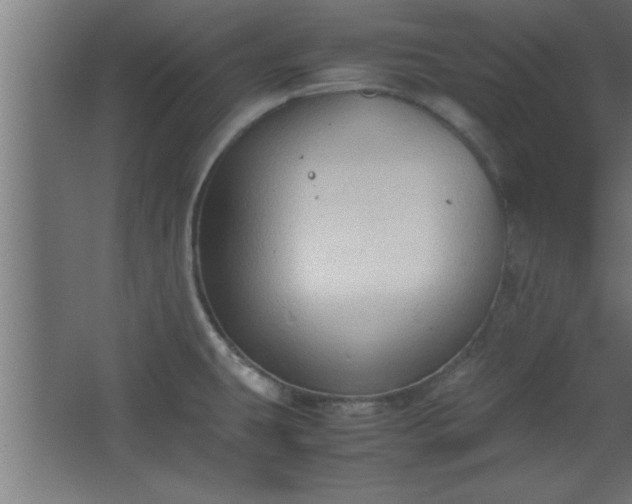 X0000067831431200604201204