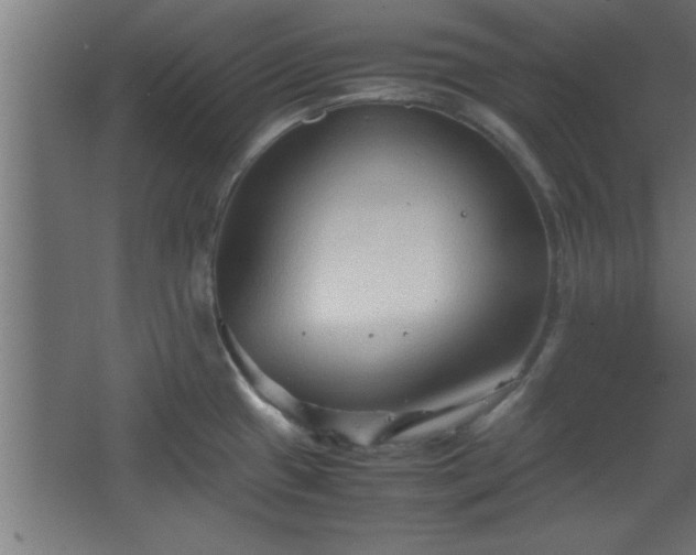 X0000067831433200604201204