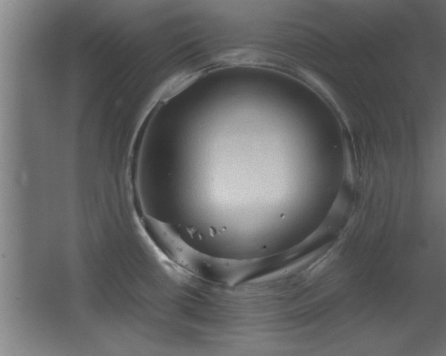 X0000067831434200604201204