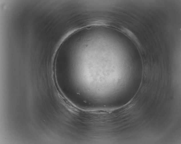 X0000067831435200604201204