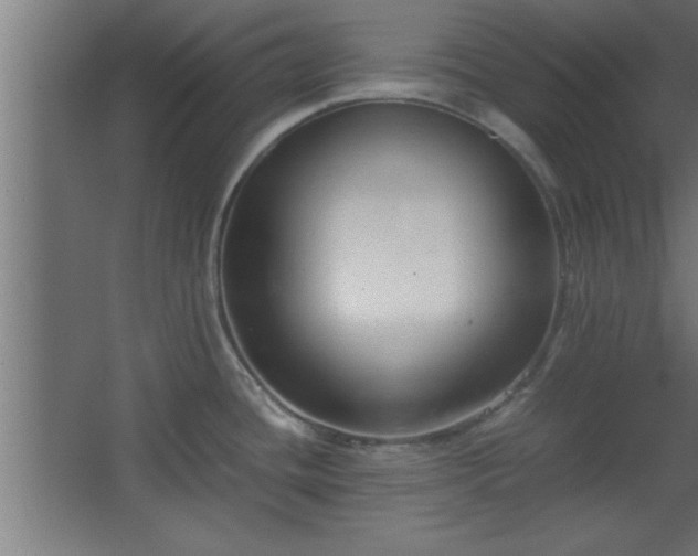 X0000067831436200604201204