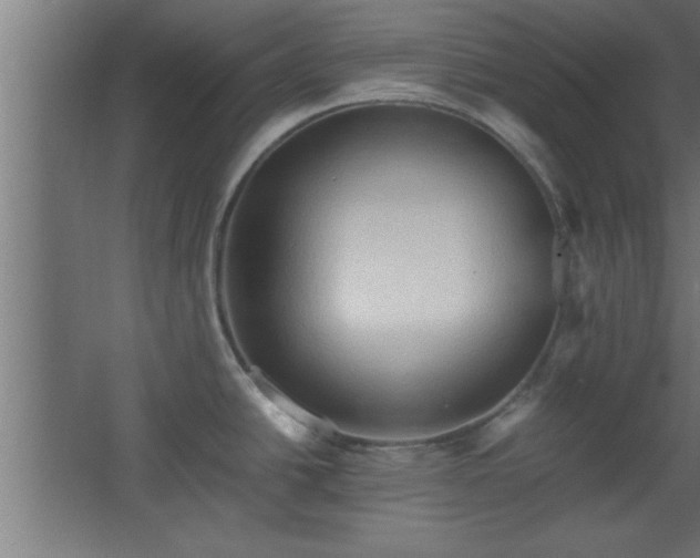 X0000067831438200604201204