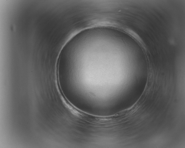 X0000067831439200604201204