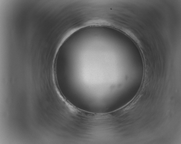 X0000067831440200604201204