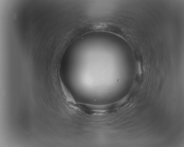 X0000067831441200604201203