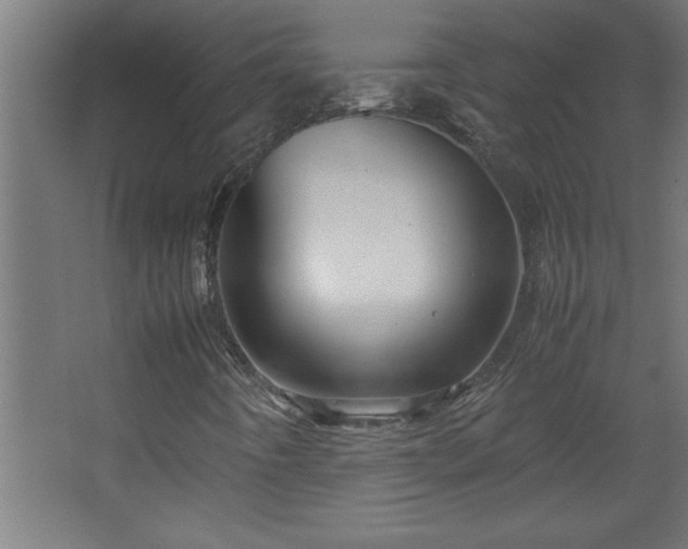 X0000067831442200604201203