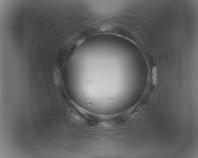 X0000067831443200604201203