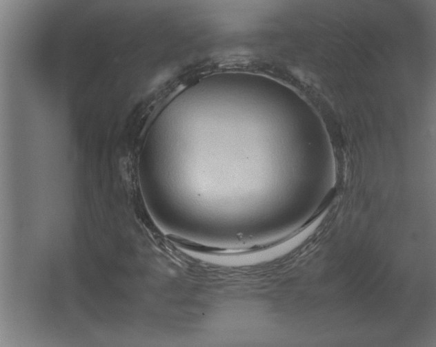 X0000067831445200604201203