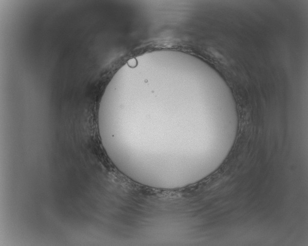 X0000067831446200604201203