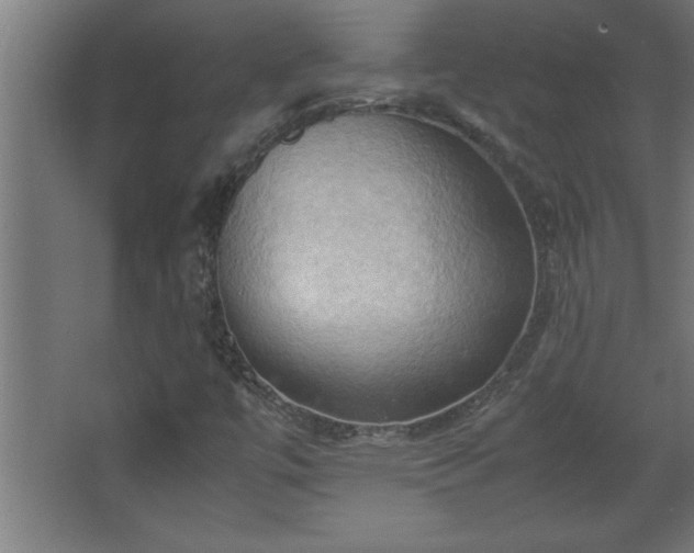 X0000067831447200604201203