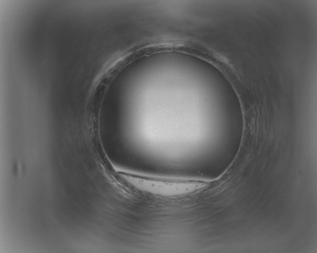 X0000067831448200604201203