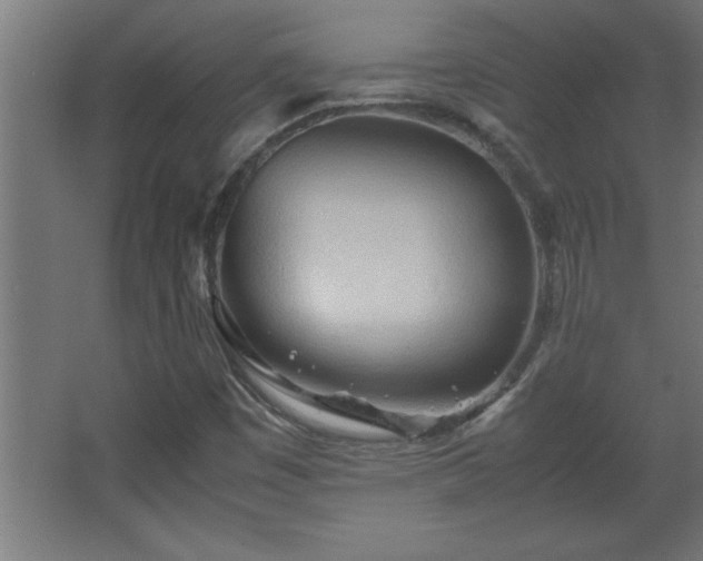 X0000067831449200604201203