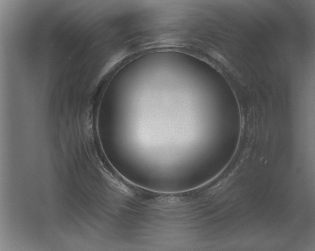 X0000067831450200604201203