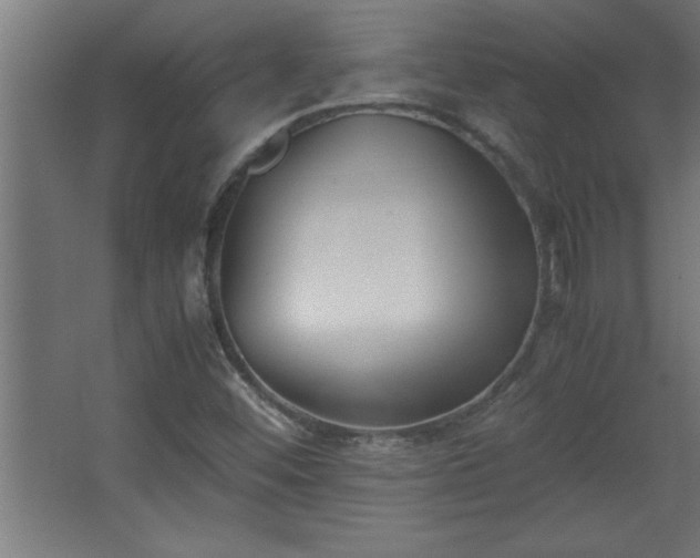 X0000067831452200604201203