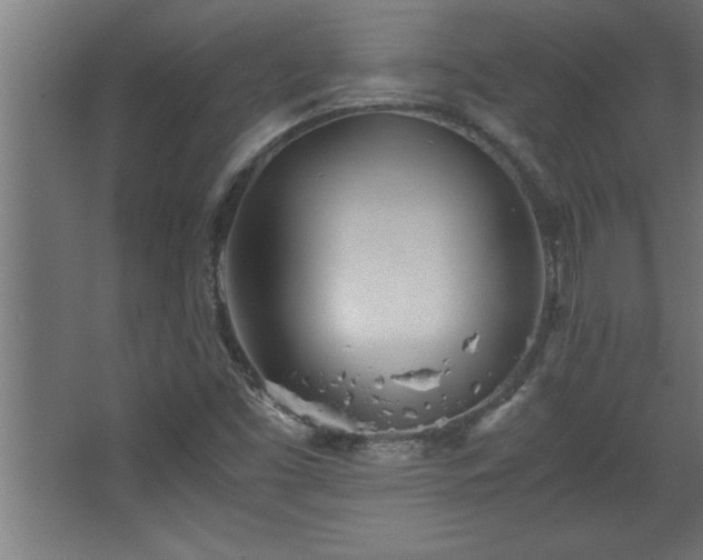 X0000067831453200604201203