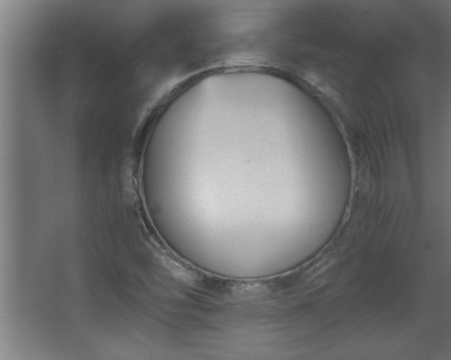 X0000067831454200604201203